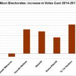 Maori-votes_2014-17