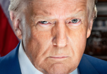 Caitlin Johnstone: Our rulers are psychopaths and they’re making everything awful